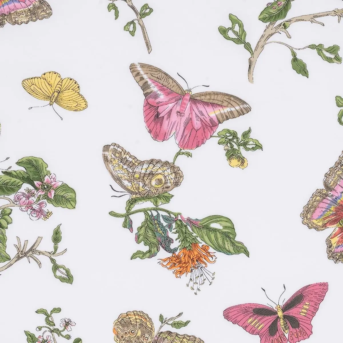 Baudin Butterfly Bedding Memo_ PINK