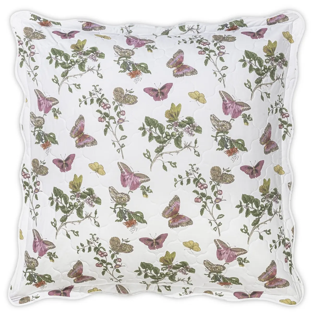 Baudin Butterfly Quilted Sham_ PINK