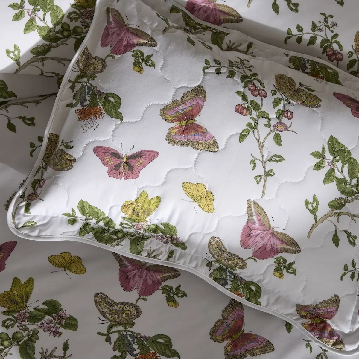 Baudin Butterfly Quilted Sham_ PINK
