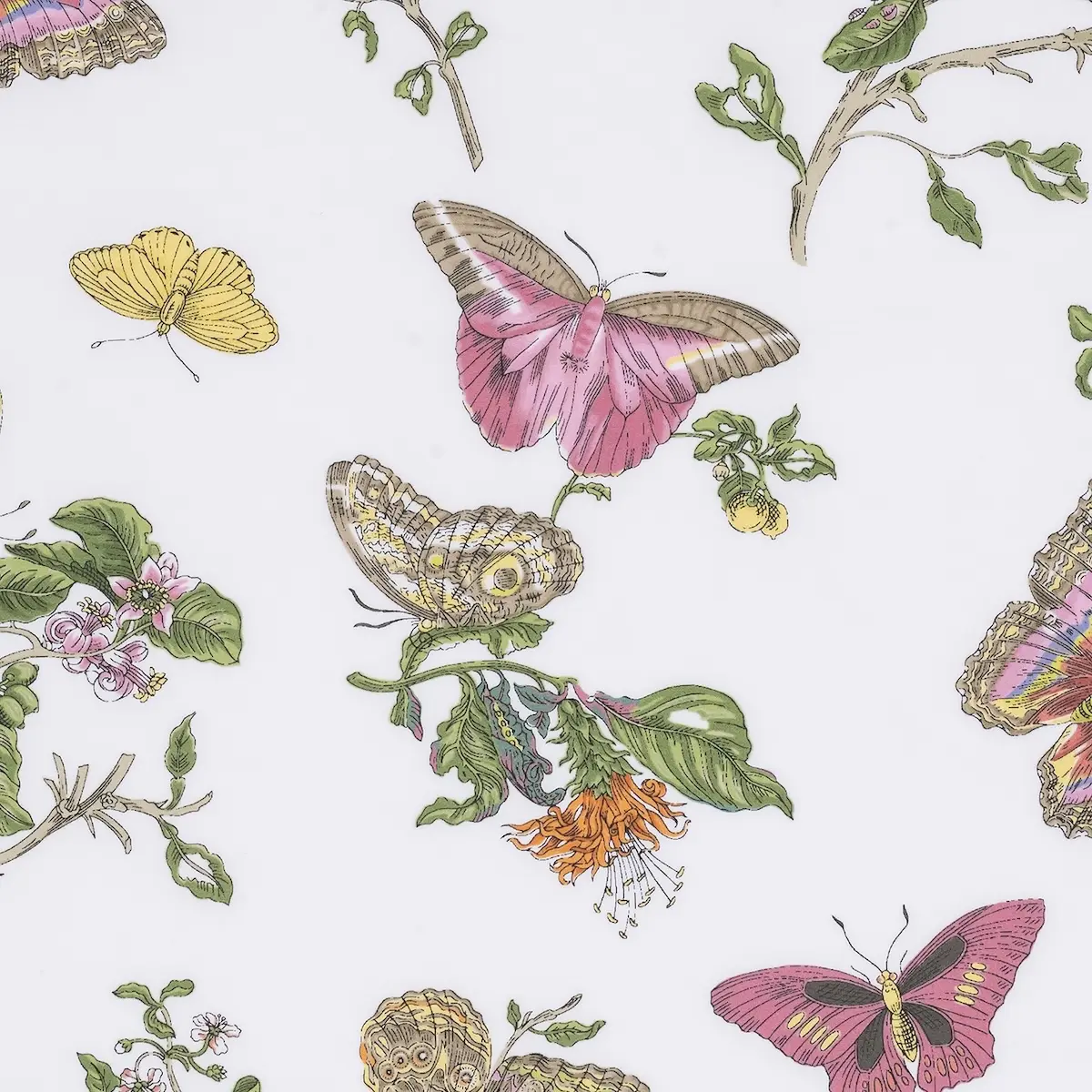 Baudin Butterfly Pillowcase Pair_ PINK