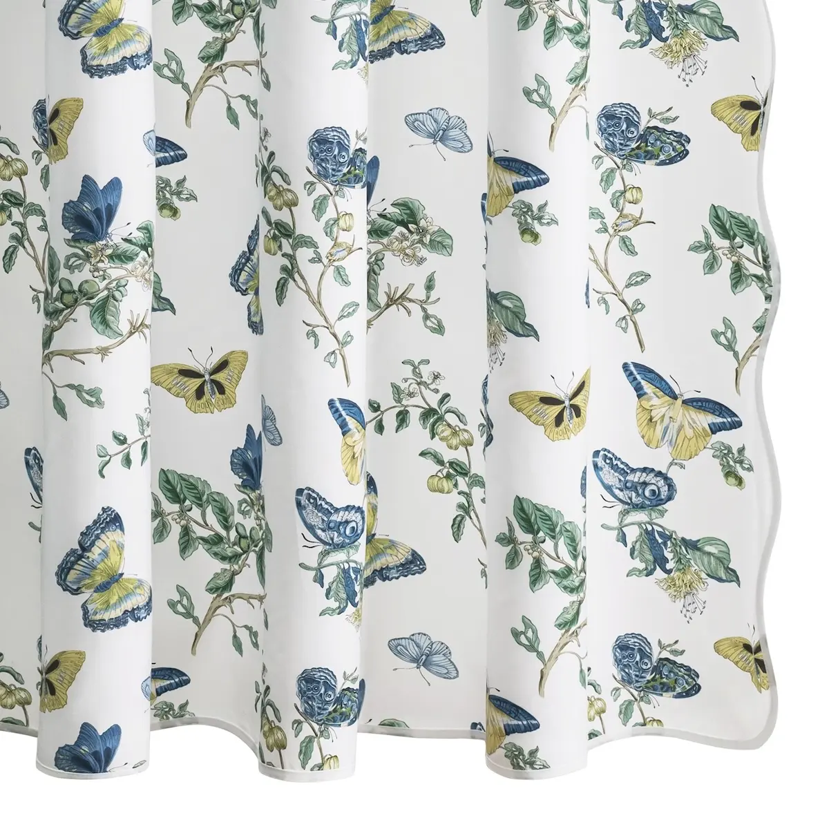 Baudin Butterfly Shower Curtain_ PRUSSIAN BLUE