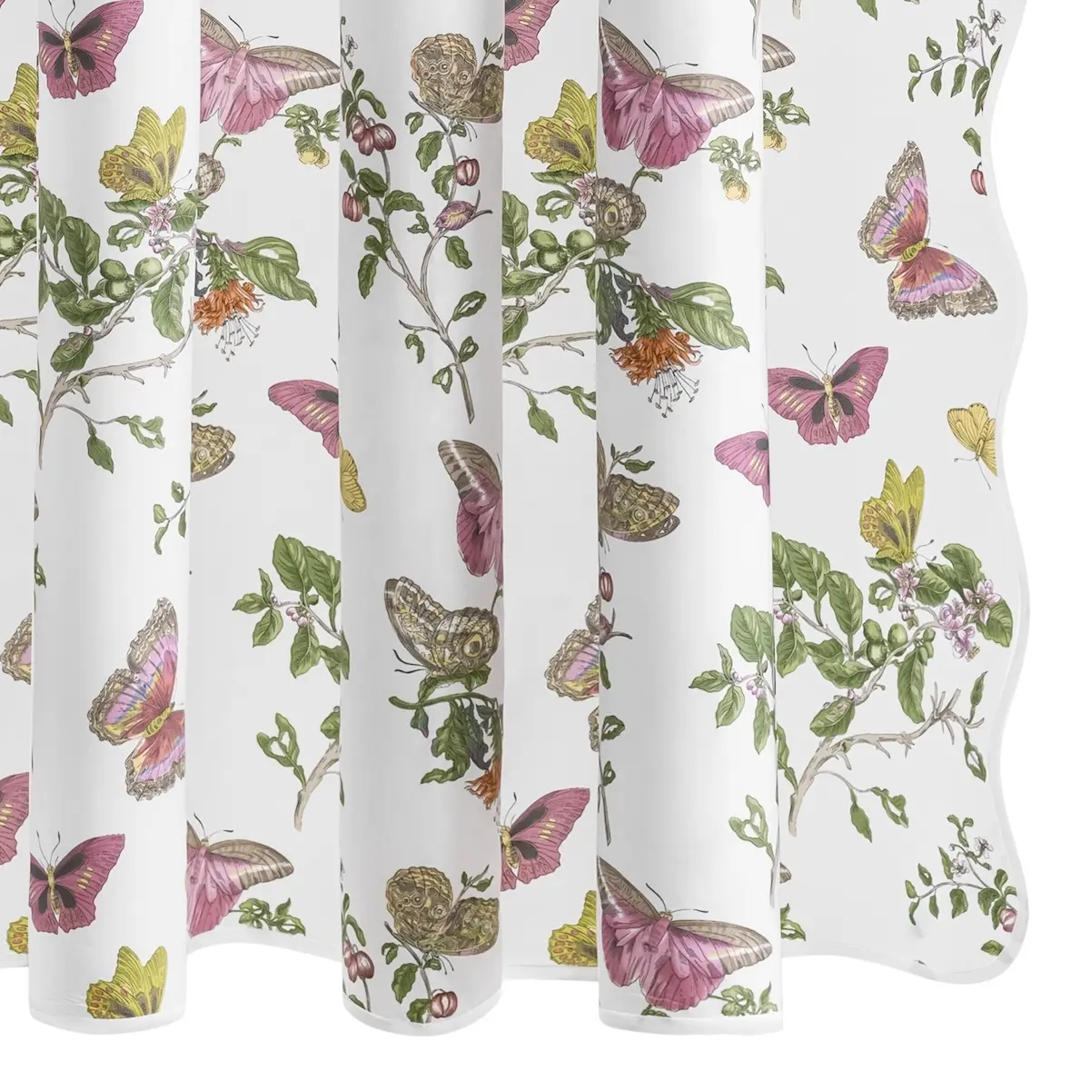 Baudin Butterfly Shower Curtain_ PINK