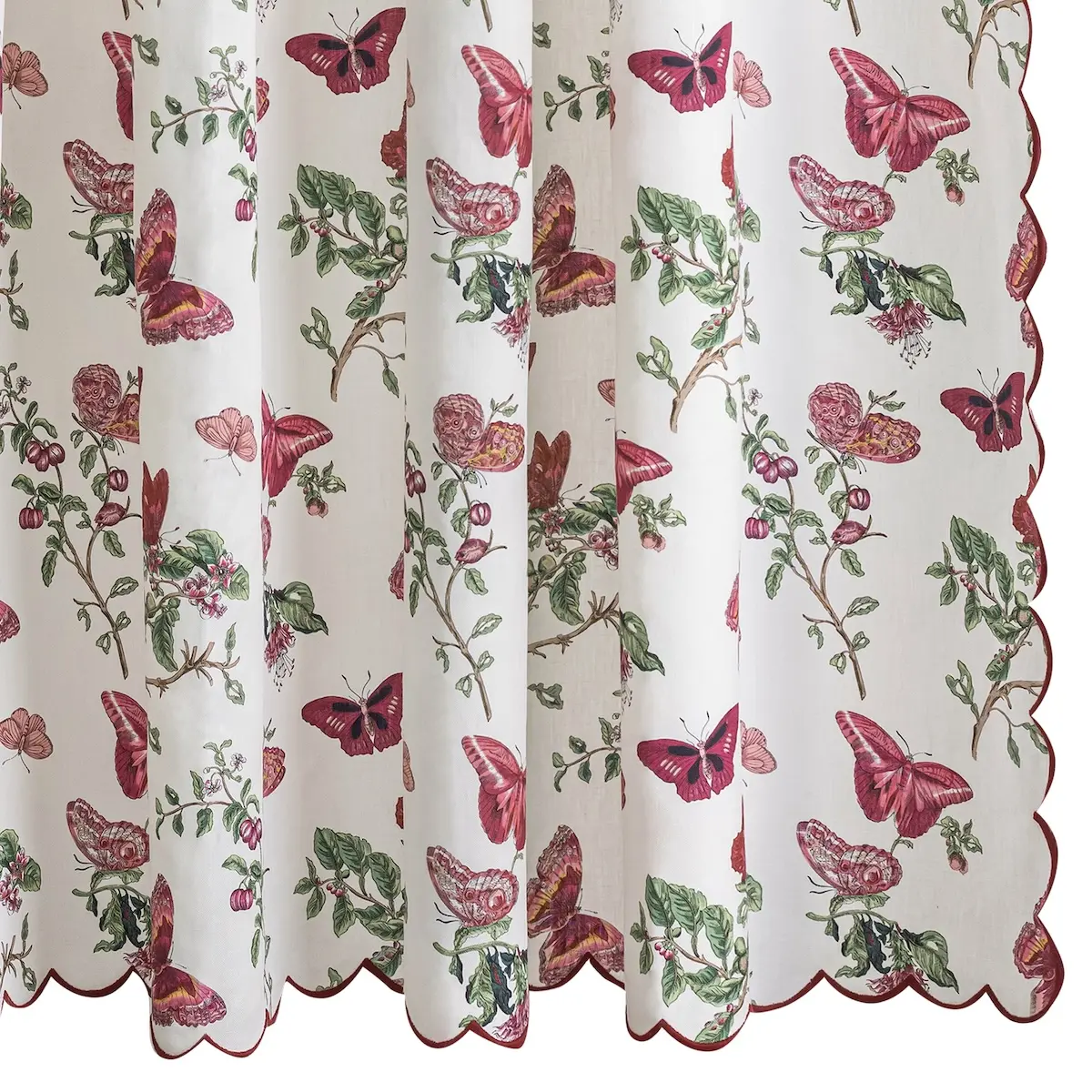 Baudin Butterfly Shower Curtain_ RUBY LINEN