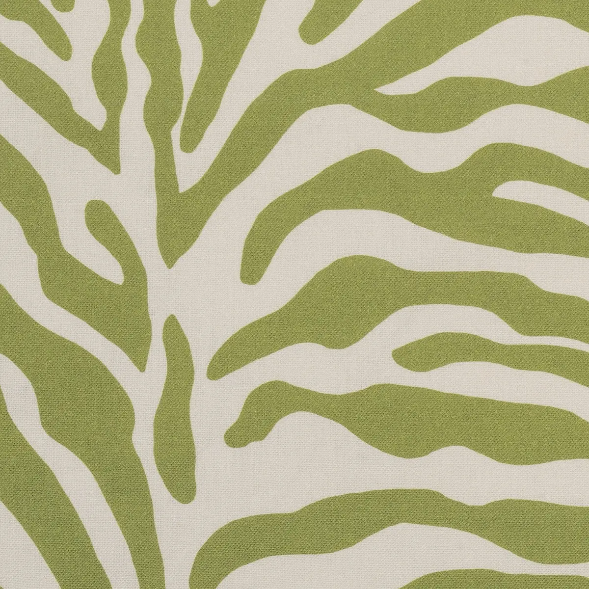 Regine Tissue Box Cover_ GRASS