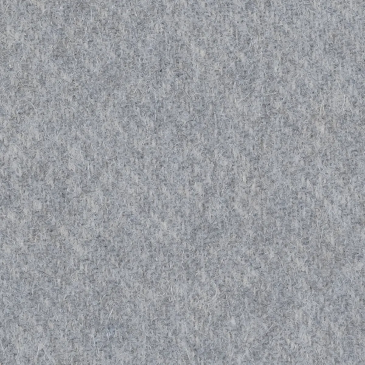 Venus Blanket_ POOL