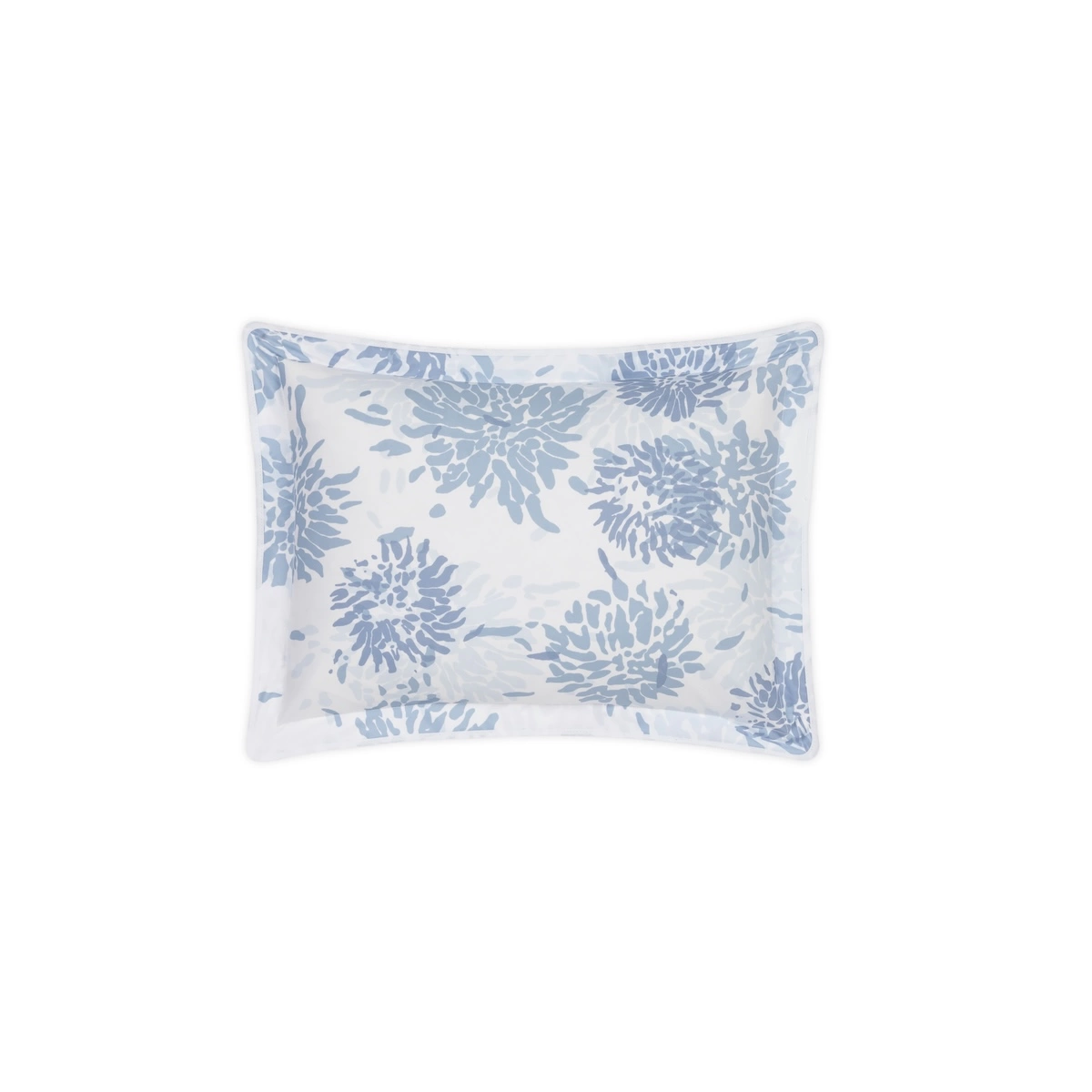 Chrysanthemum Sham_ BLUE