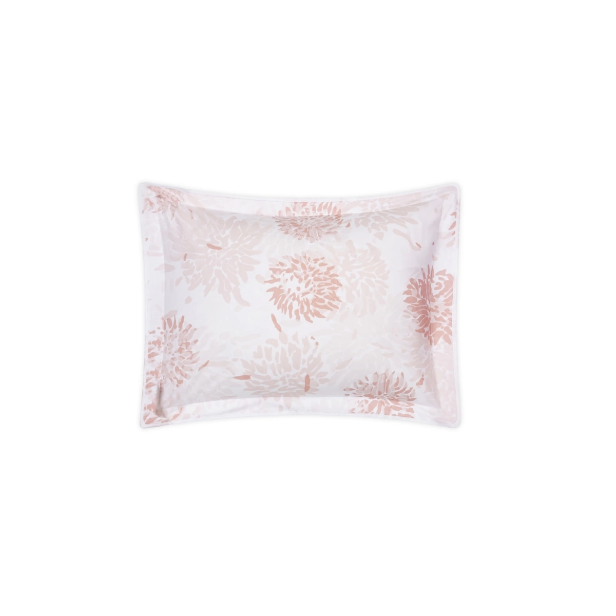 Chrysanthemum Sham_ BLUSH