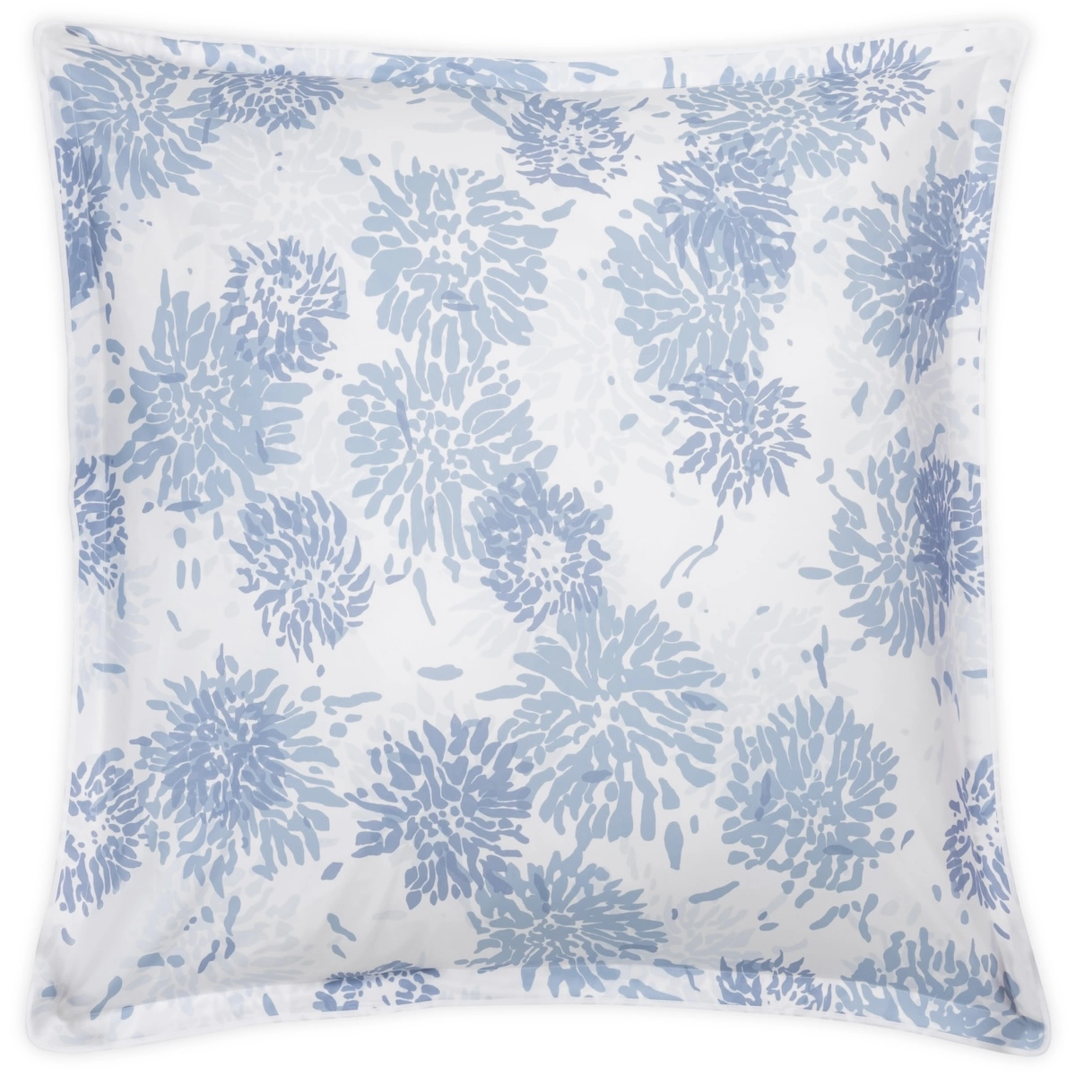 Chrysanthemum Sham_ BLUE