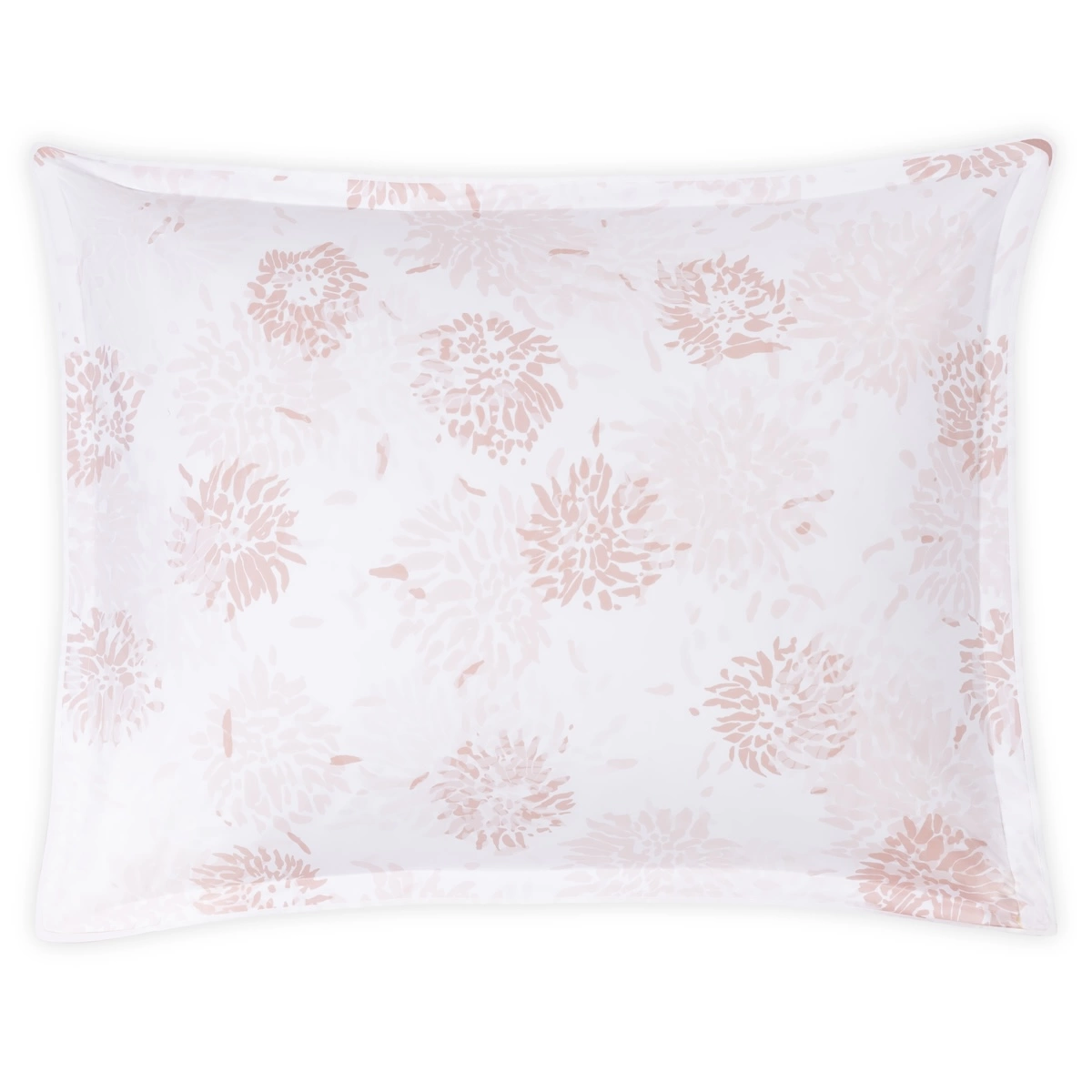 Chrysanthemum Sham_ BLUSH