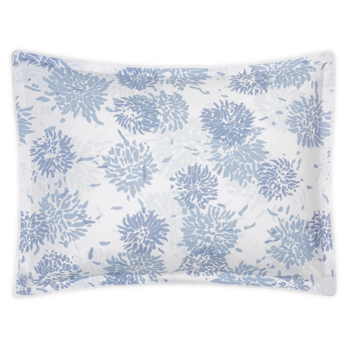 Chrysanthemum Sham_ BLUE