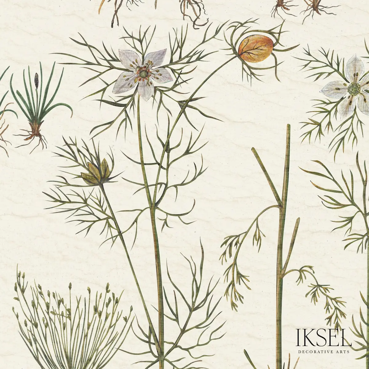 HERBIER_ WHITE