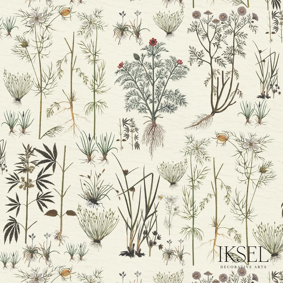 HERBIER_ WHITE