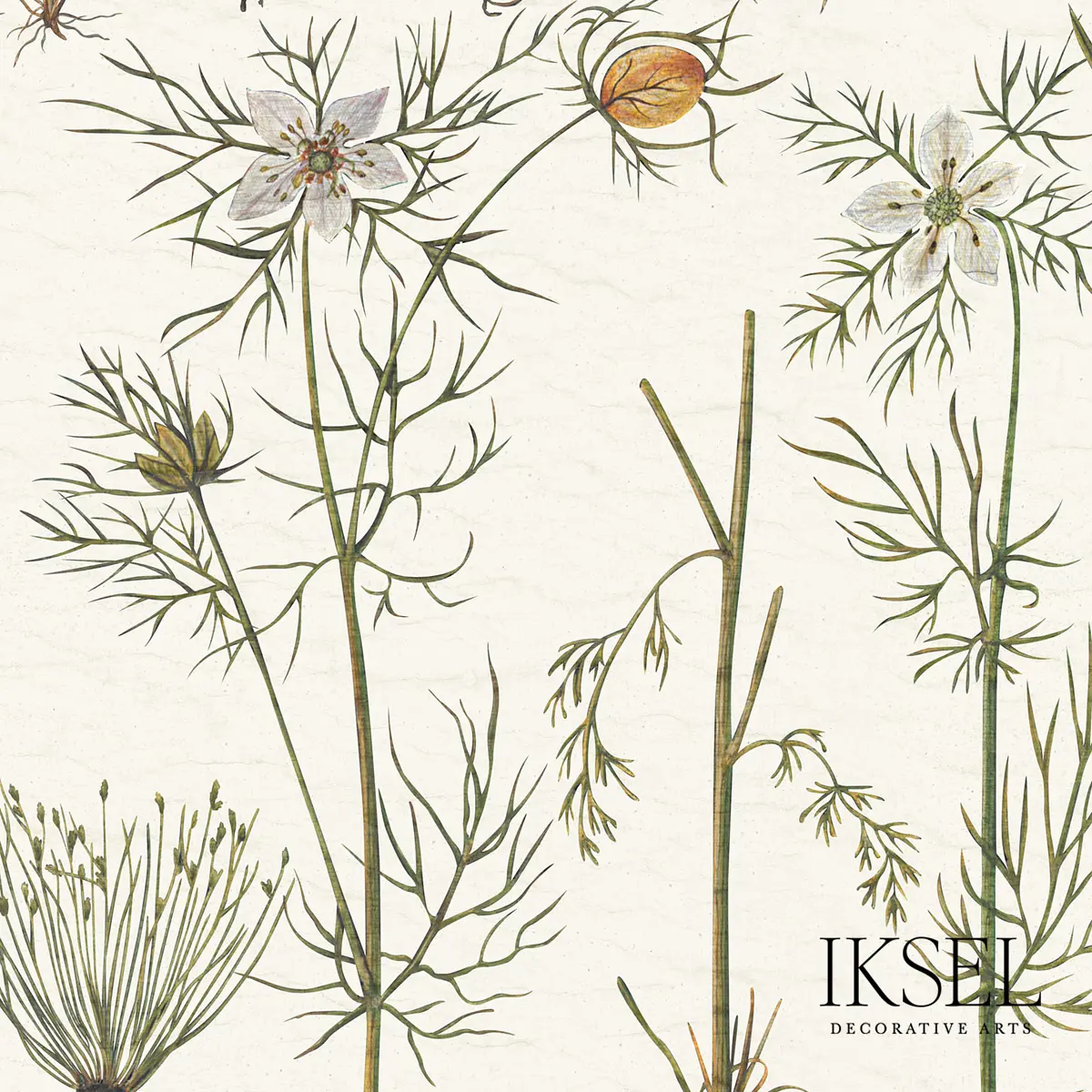 HERBIER_ WHITE