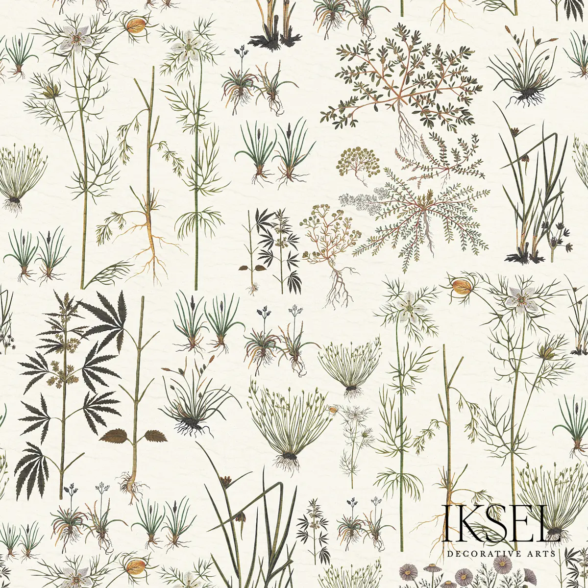 HERBIER_ WHITE