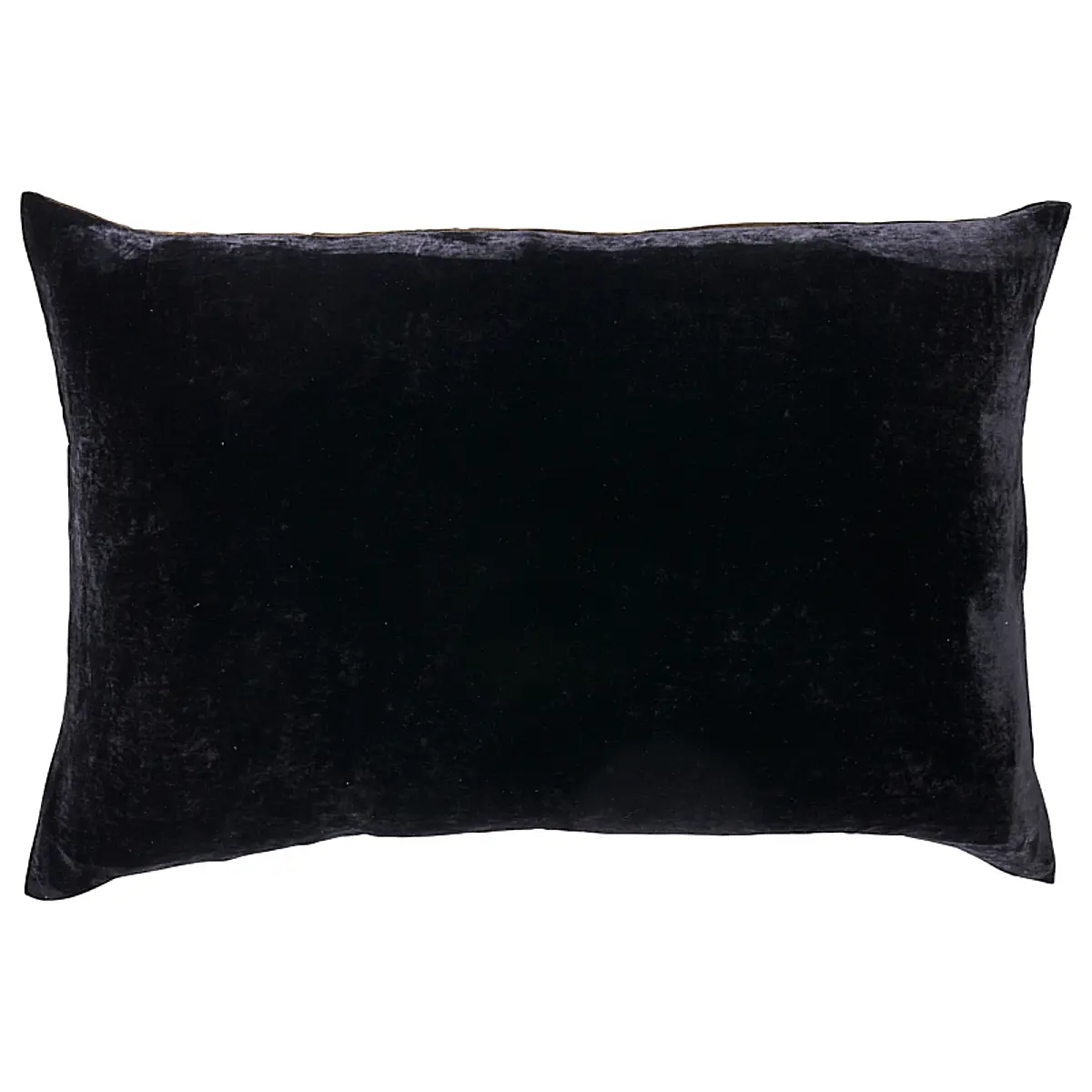 Gilded Serpiente Velvet Pillow_ BLACK