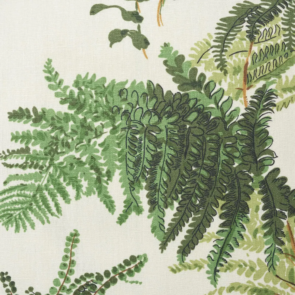 Les Fougeres Pillow_ DOCUMENT