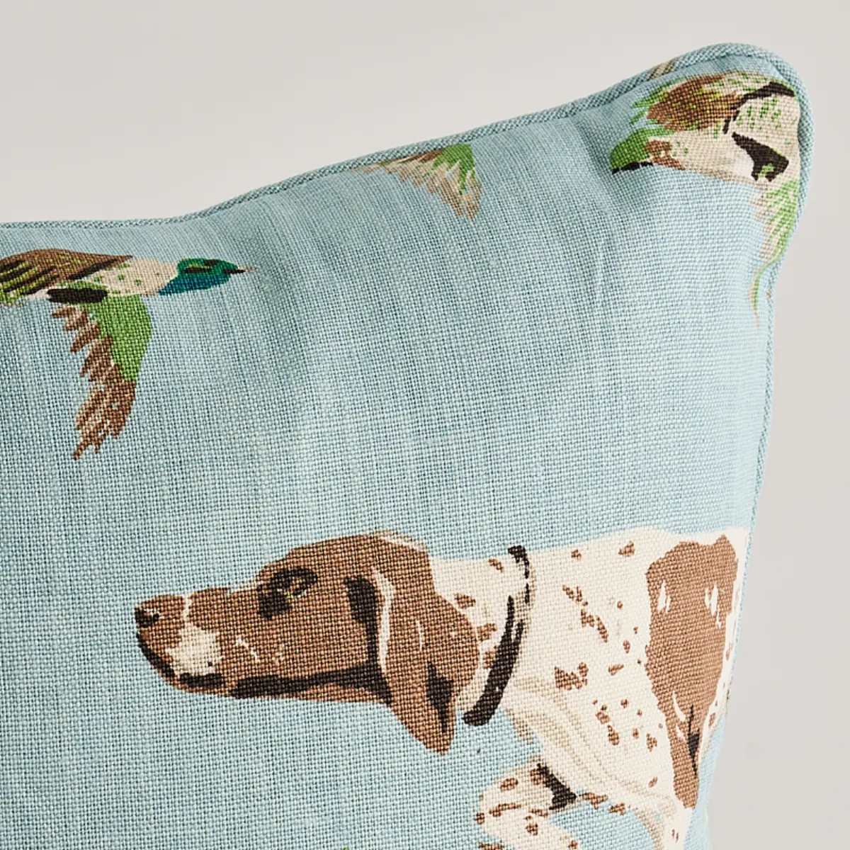 Pointers Pillow_ SKY