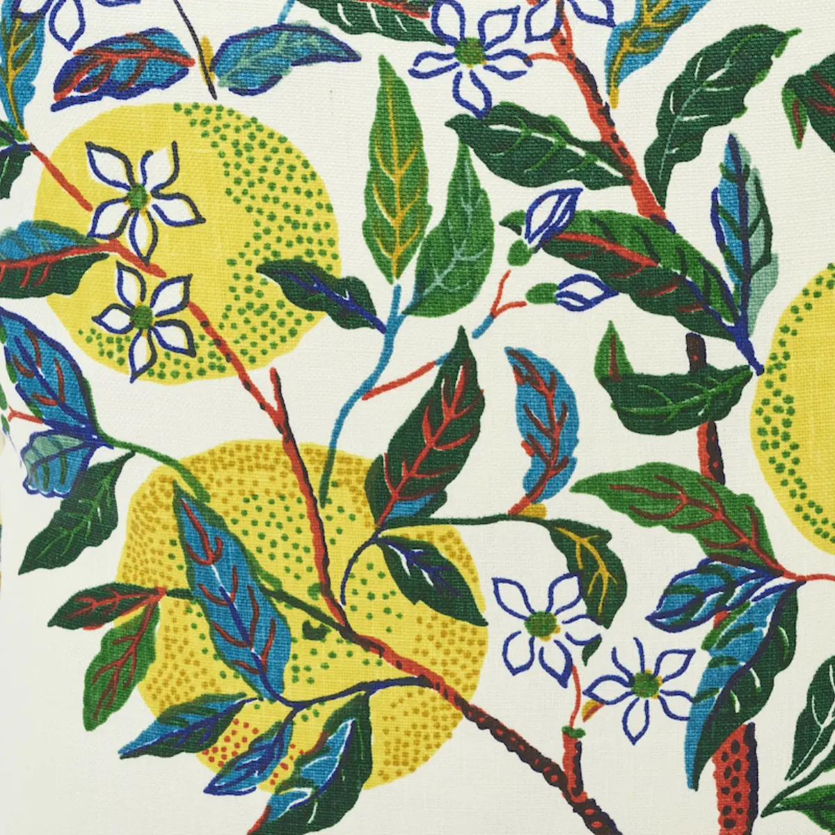 Citrus Garden Pillow_ PRIMARY