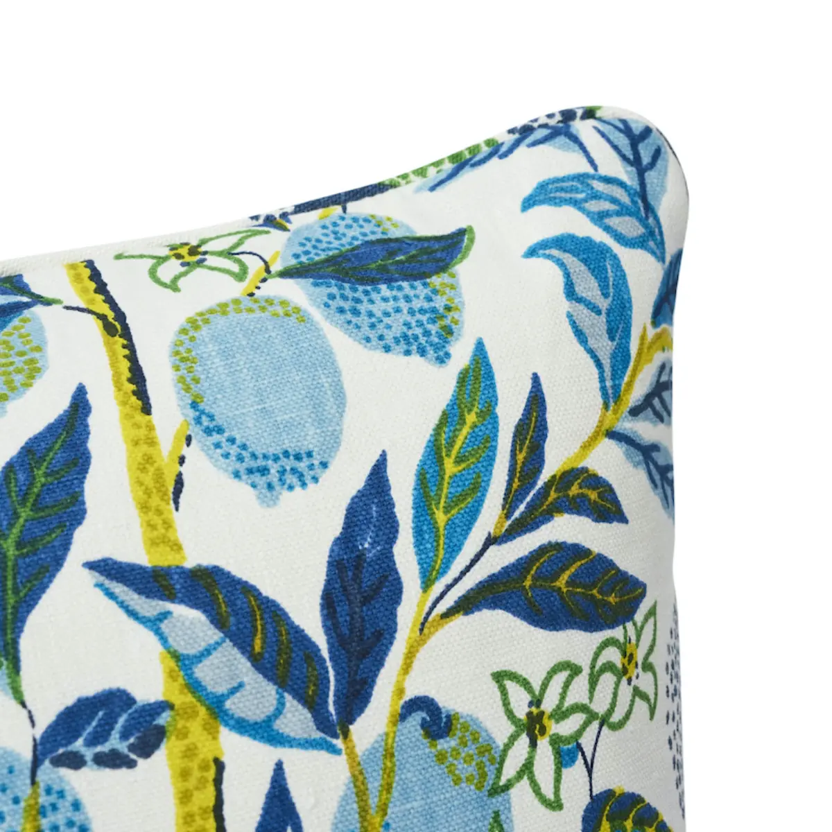 Citrus Garden Pillow_ POOL