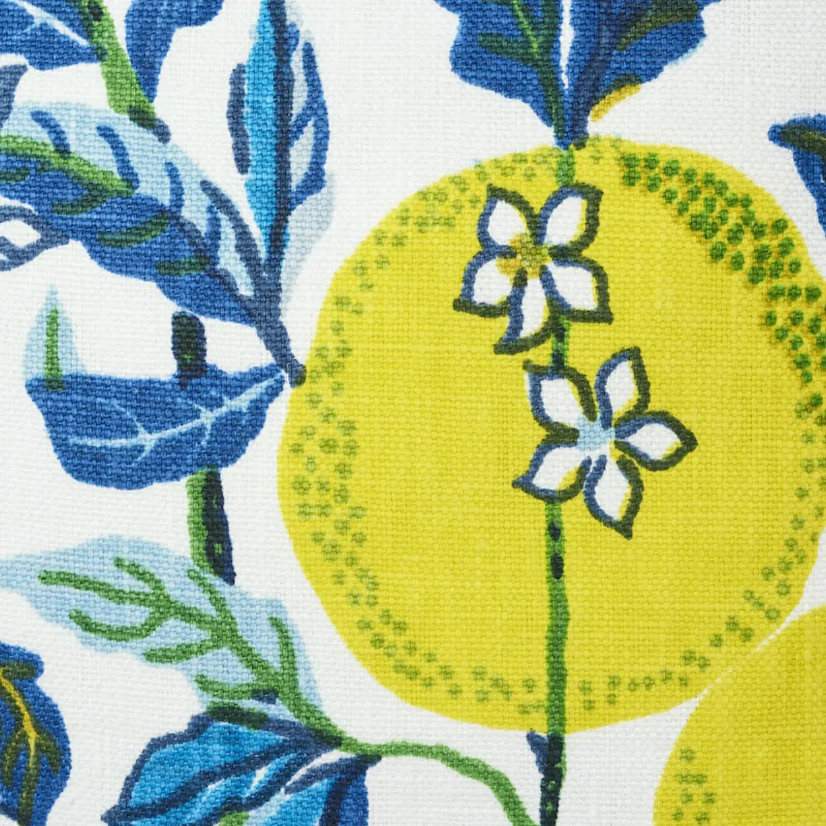 Citrus Garden Pillow_ POOL