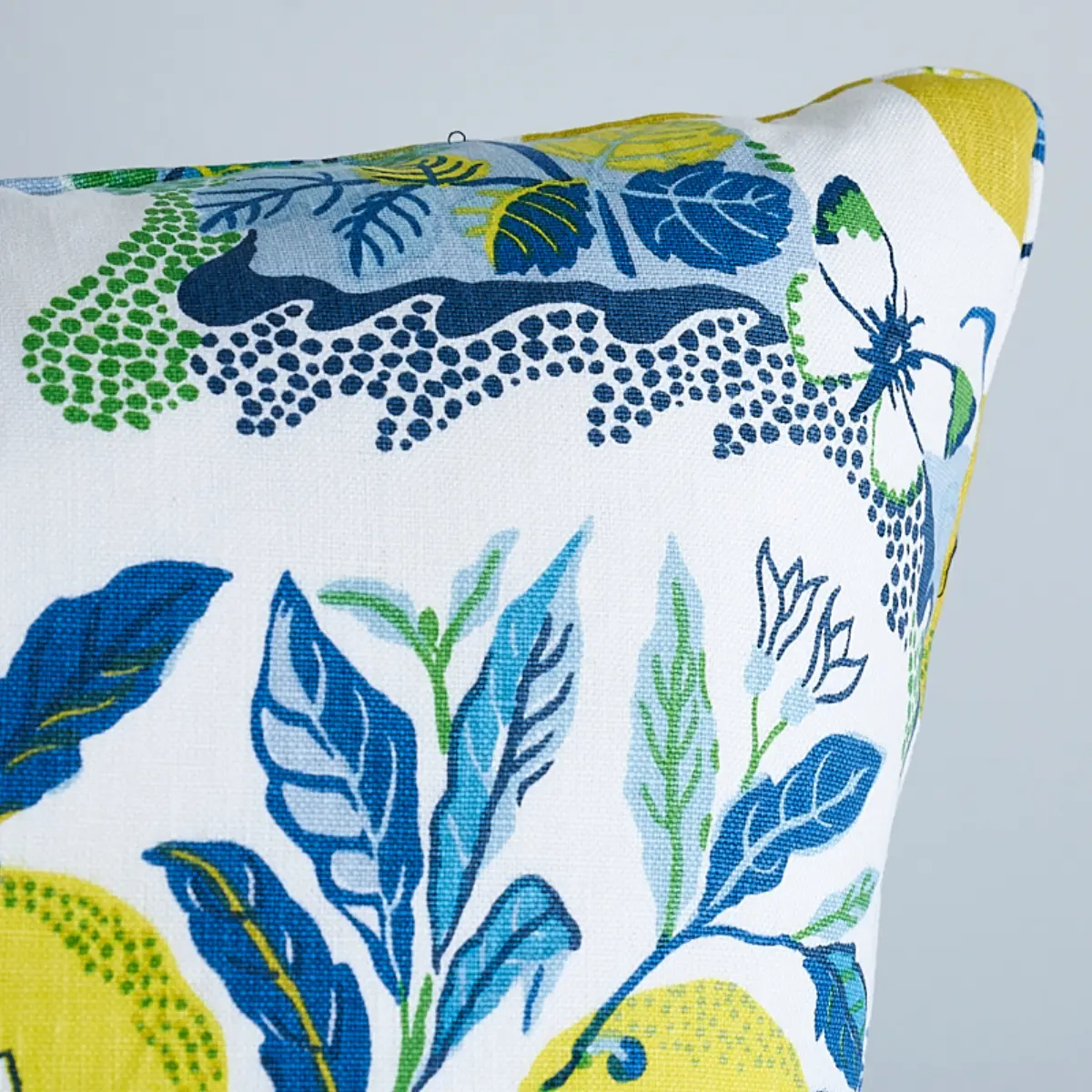 Citrus Garden Pillow_ POOL