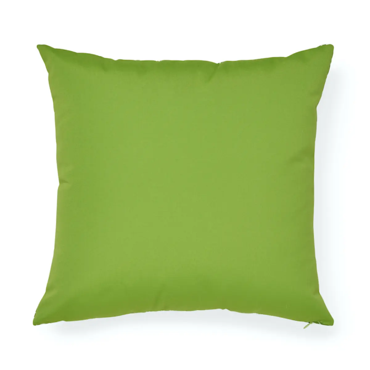 Queen B I/O Pillow_ GREEN