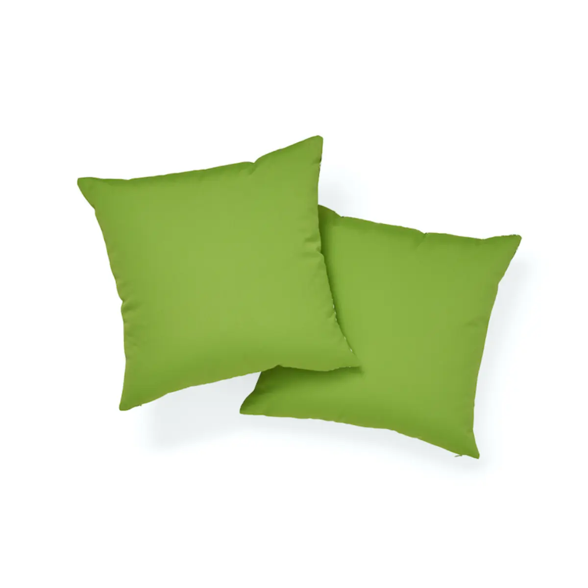 Queen B I/O Pillow_ GREEN