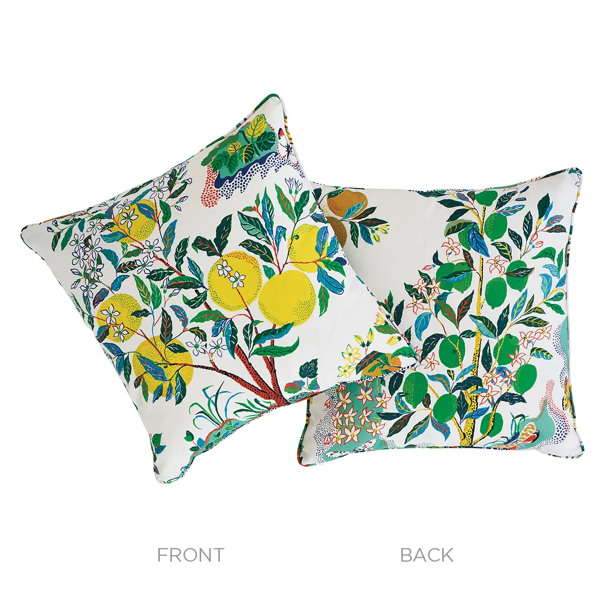 Citrus Garden I/O Pillow_ PRIMARY
