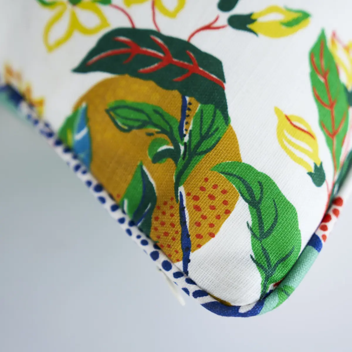 Citrus Garden I/O Pillow_ PRIMARY