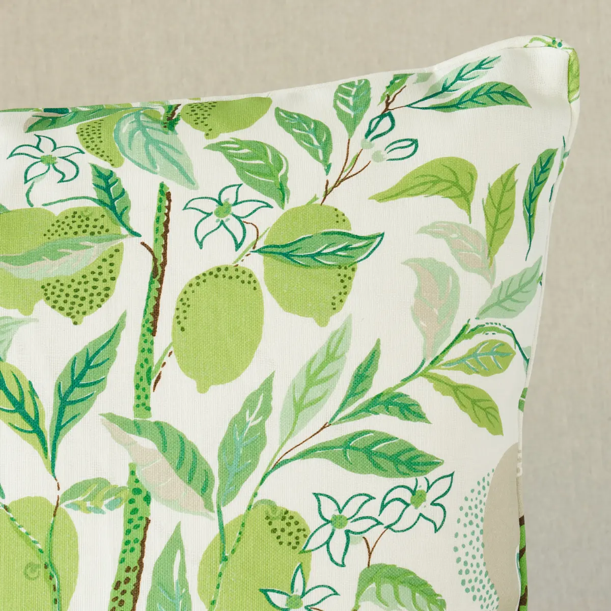 Citrus Garden I/O Pillow_ LEAF