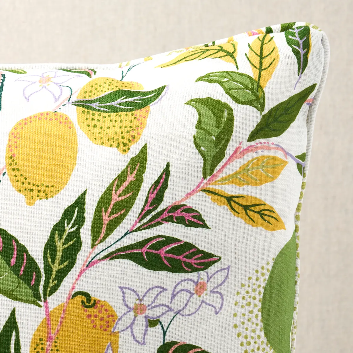 Citrus Garden I/O Pillow_ GARDEN