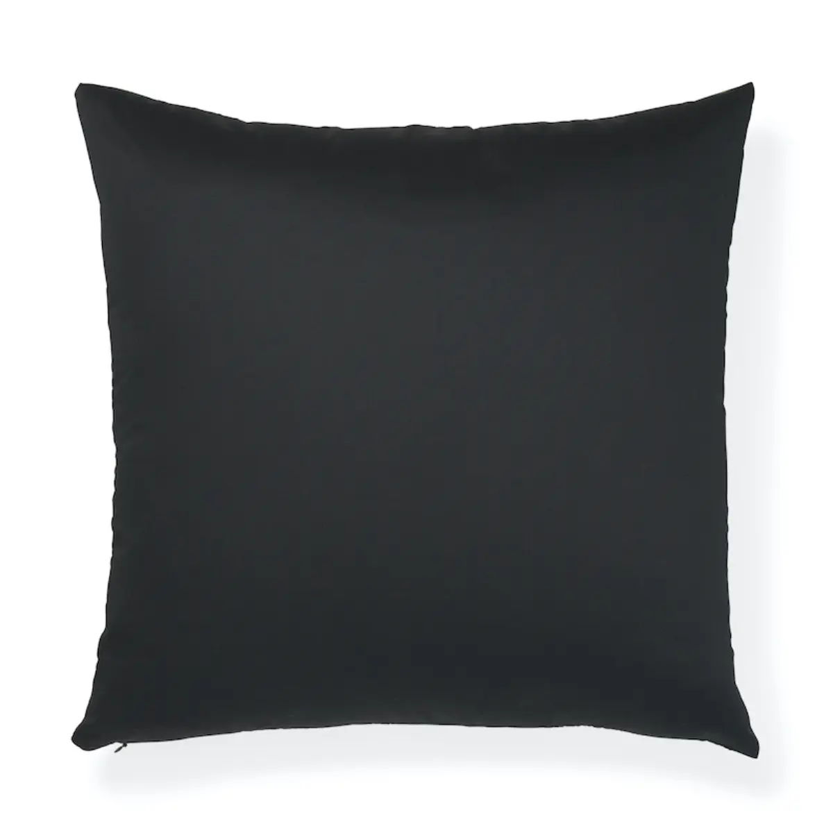 Fernarium Pillow_ GREEN & BLACK
