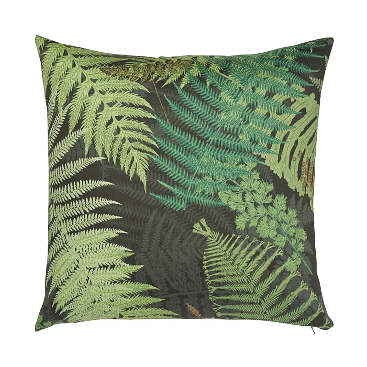 Fernarium Pillow_ GREEN & BLACK