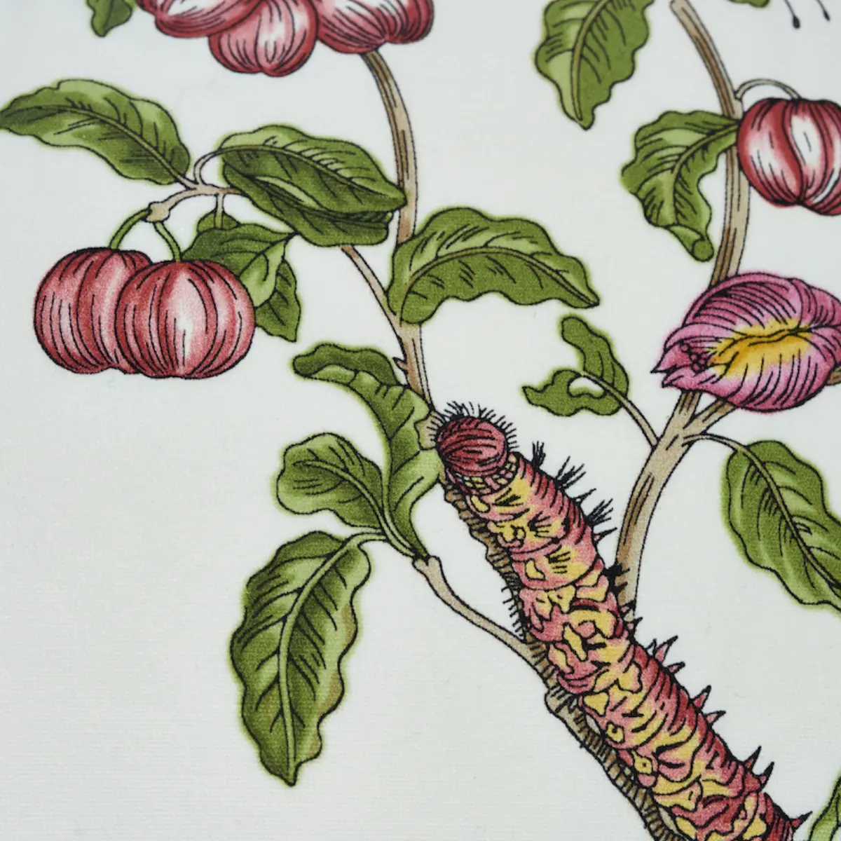 Baudin Butterfly Chintz Pillow_ BLUSH