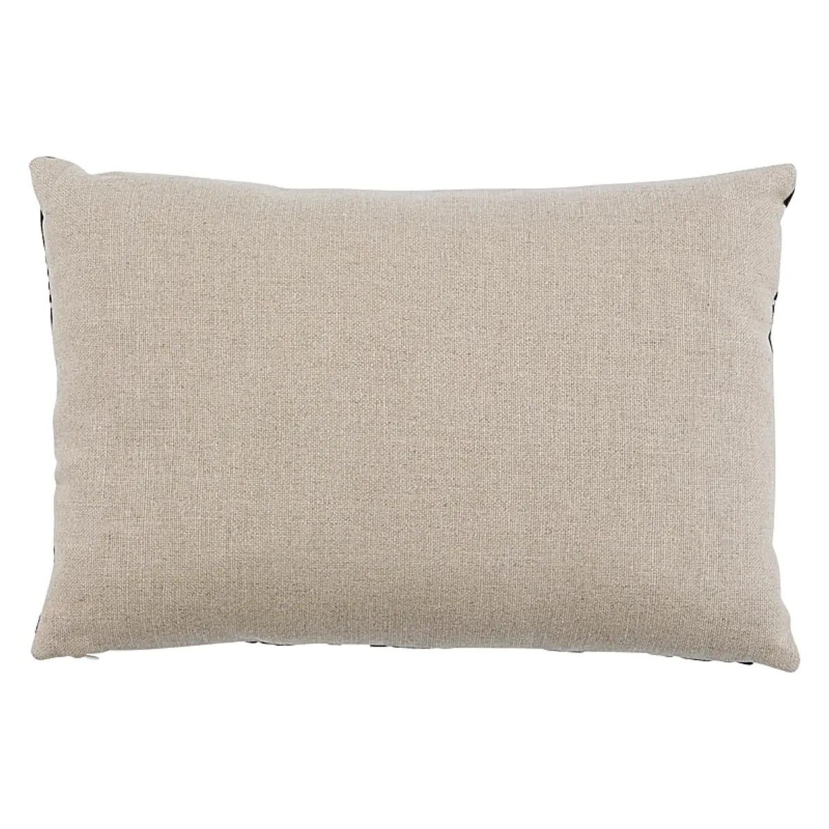 Pavone Velvet Pillow_ CARBON