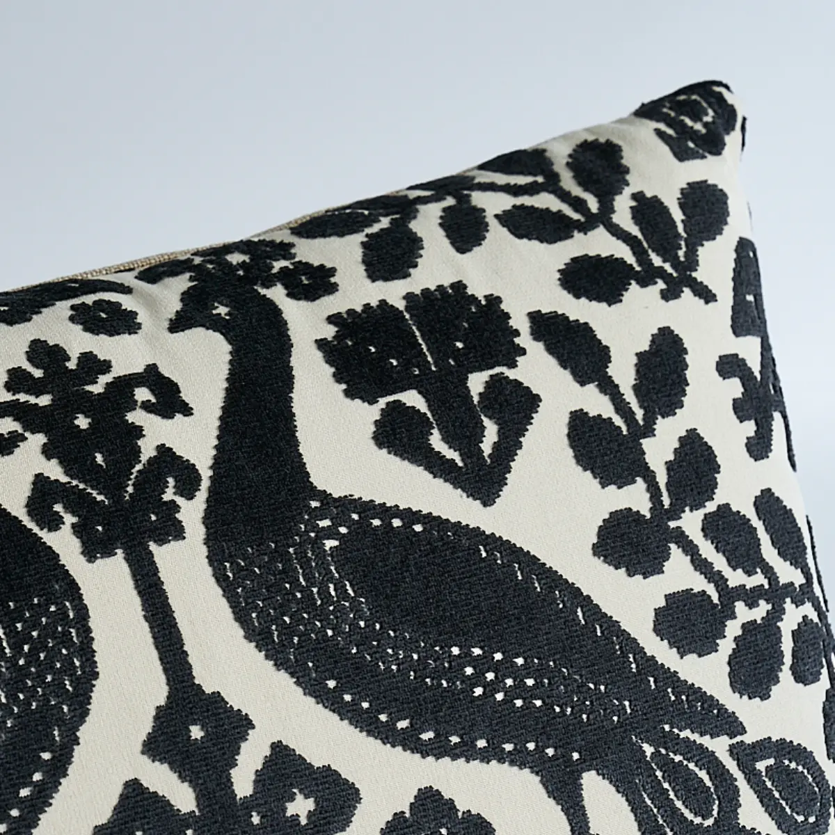 Pavone Velvet Pillow_ CARBON