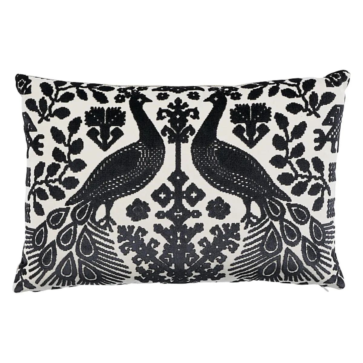 Pavone Velvet Pillow_ CARBON
