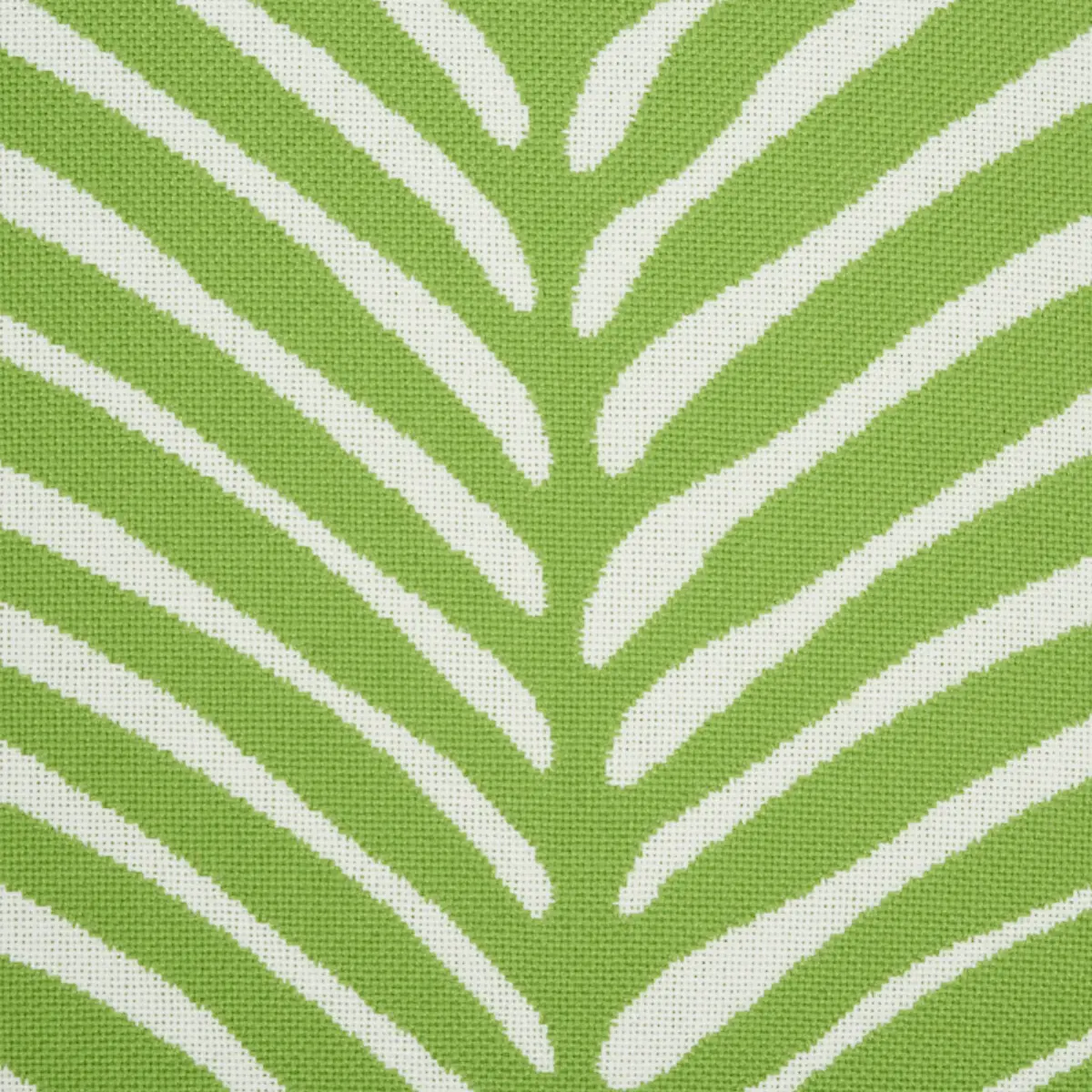 Zebra Palm Indoor/Outdoor Pillow_ LEAF