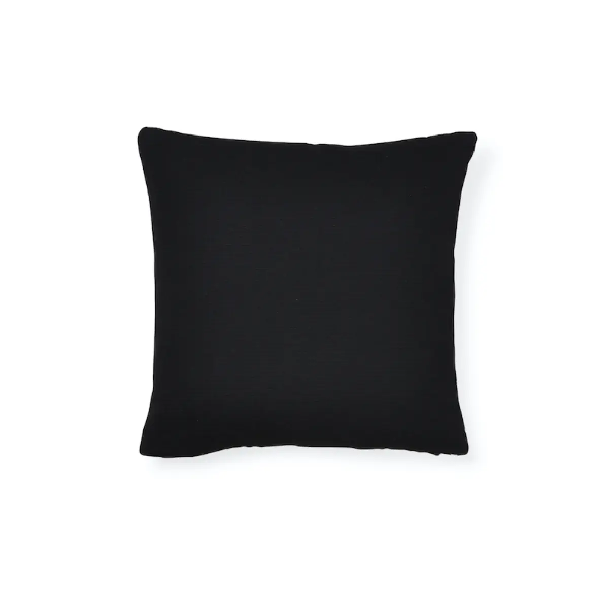 Zebra Palm Indoor/Outdoor Pillow_ BLACK