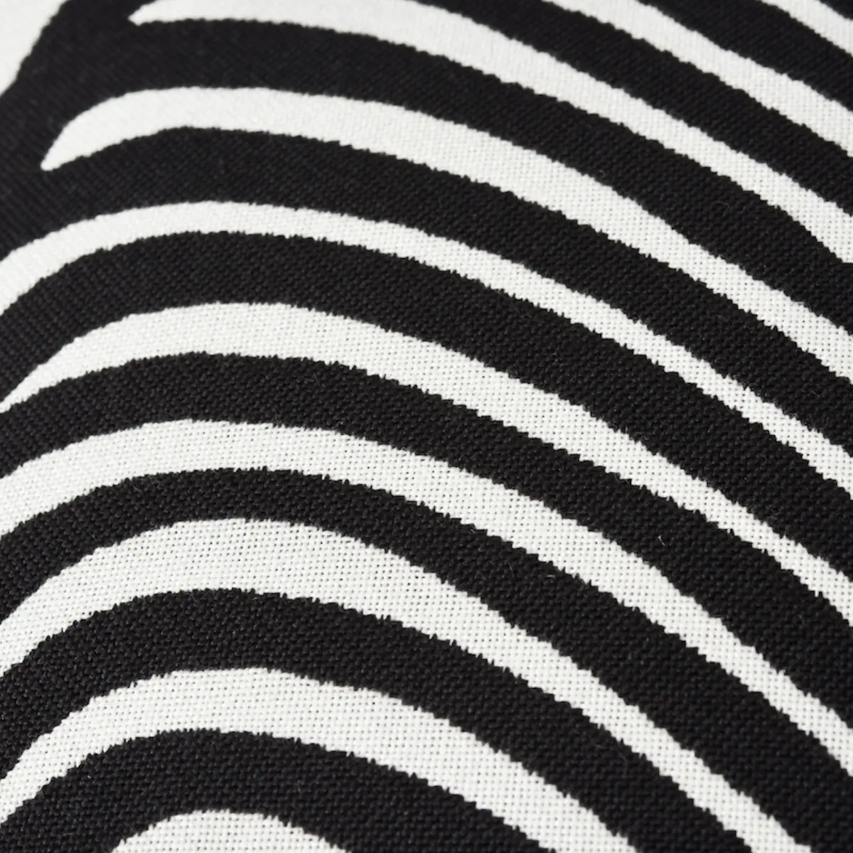 Zebra Palm Indoor/Outdoor Pillow_ BLACK