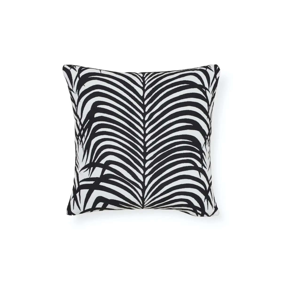 Zebra Palm Indoor/Outdoor Pillow_ BLACK
