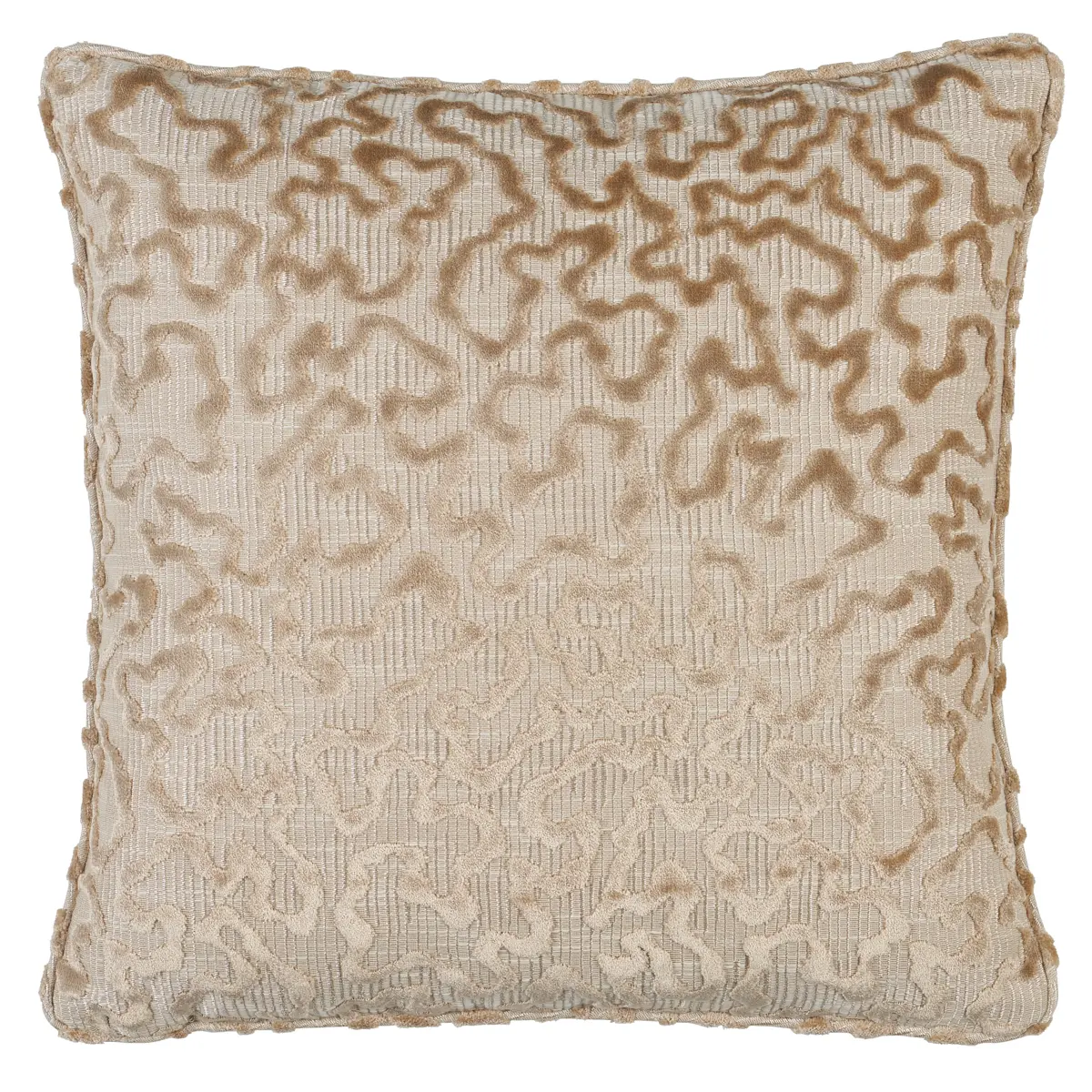 Janis Velvet Pillow_ CHAMPAGNE