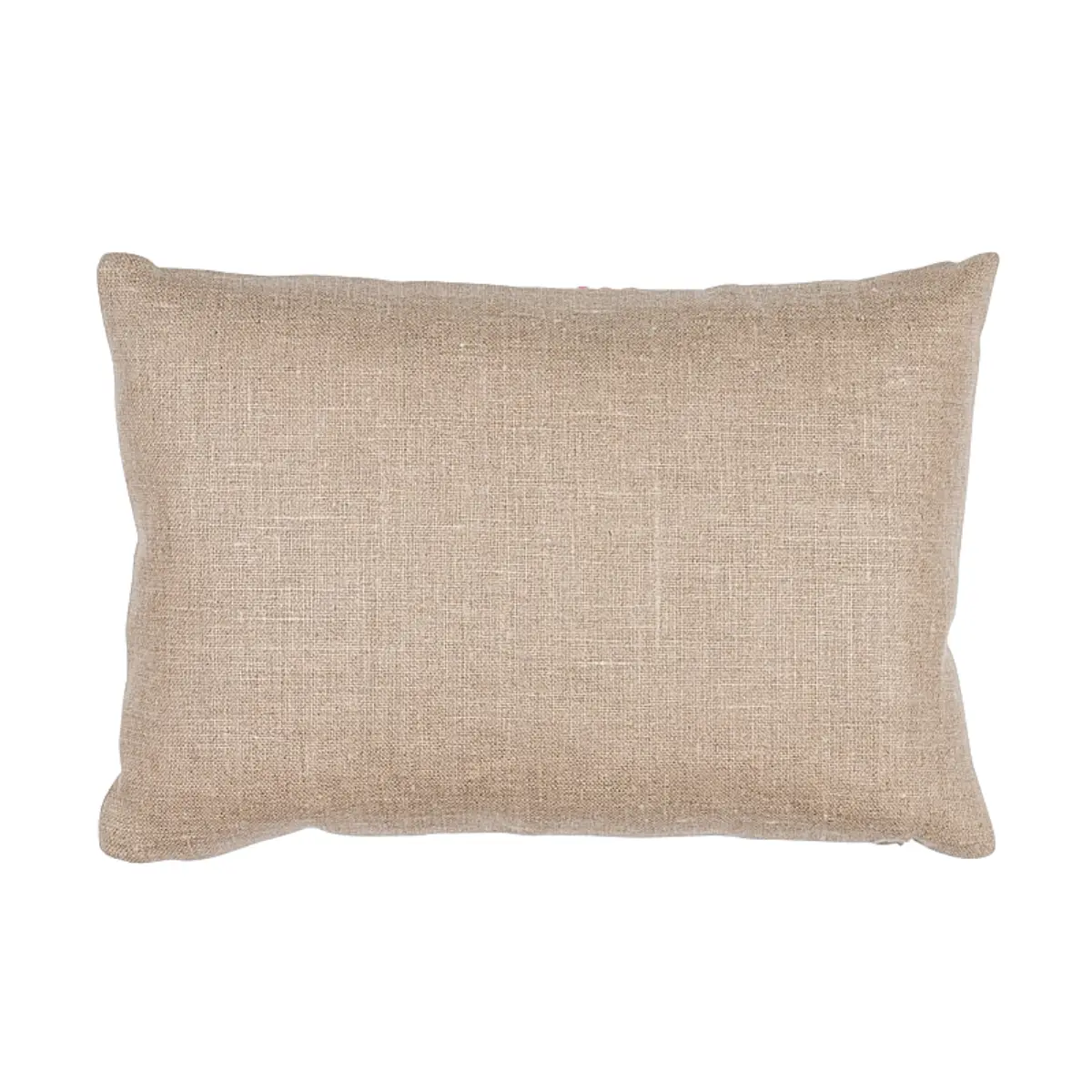 Ashoka Pillow_ ORANGE & PINK