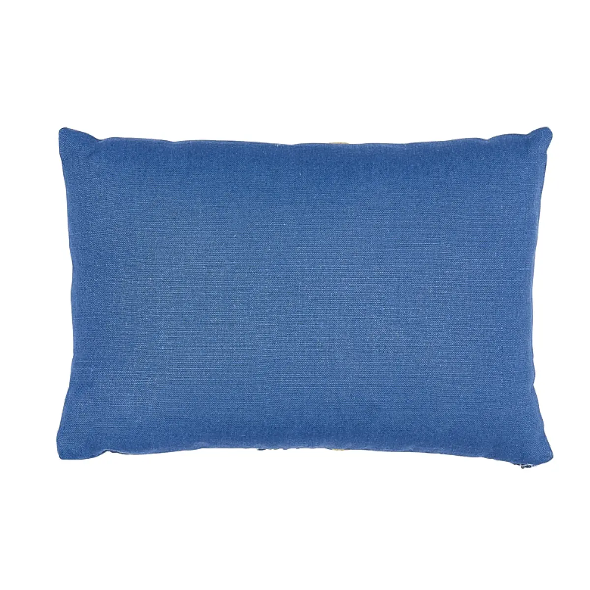 Ashoka Pillow_ CITRON & BLUE