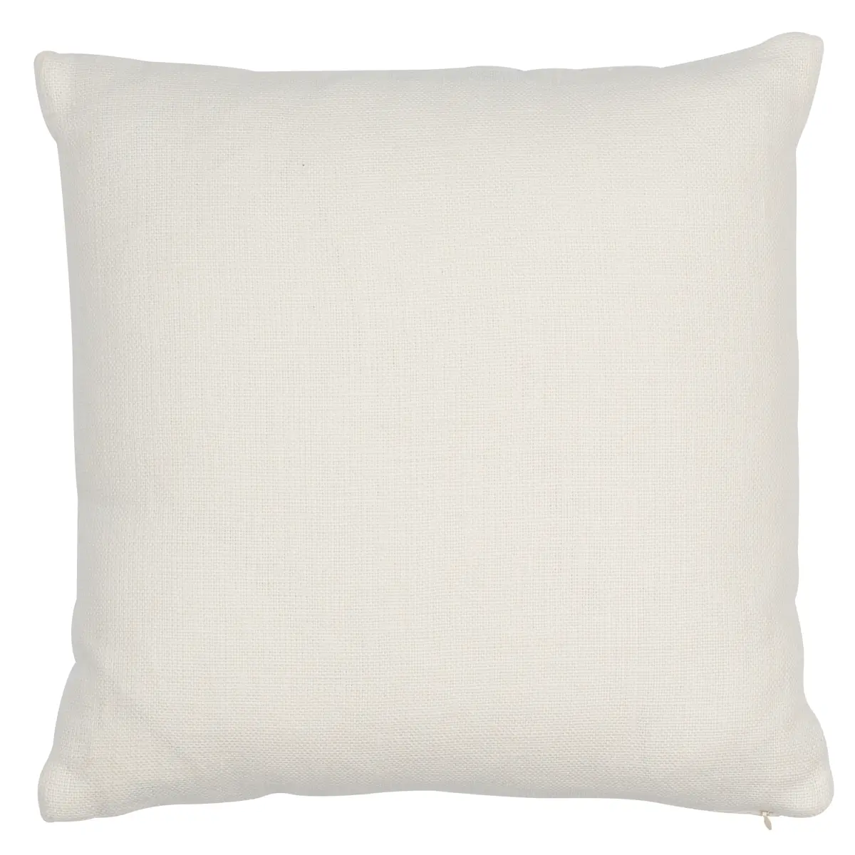 Ashoka Pillow_ IVORY & BLUE