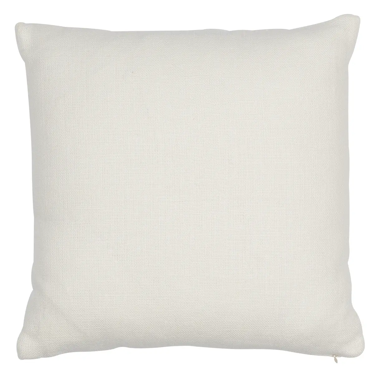 Ashoka Pillow_ IVORY & BLUE