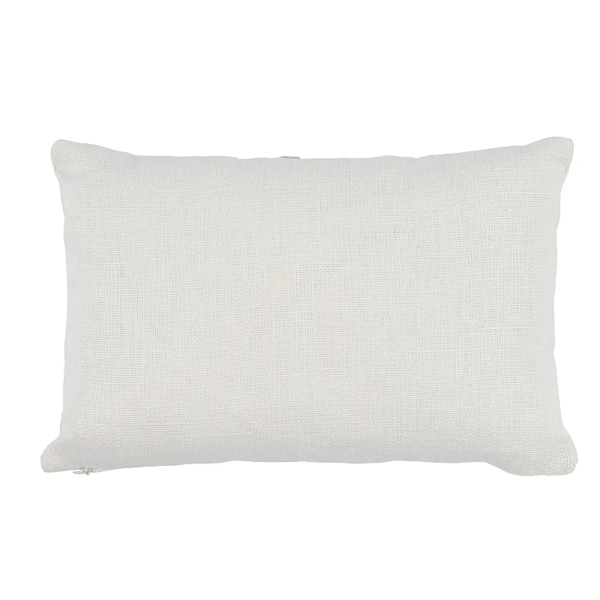 Ashoka Pillow_ IVORY & BLUE