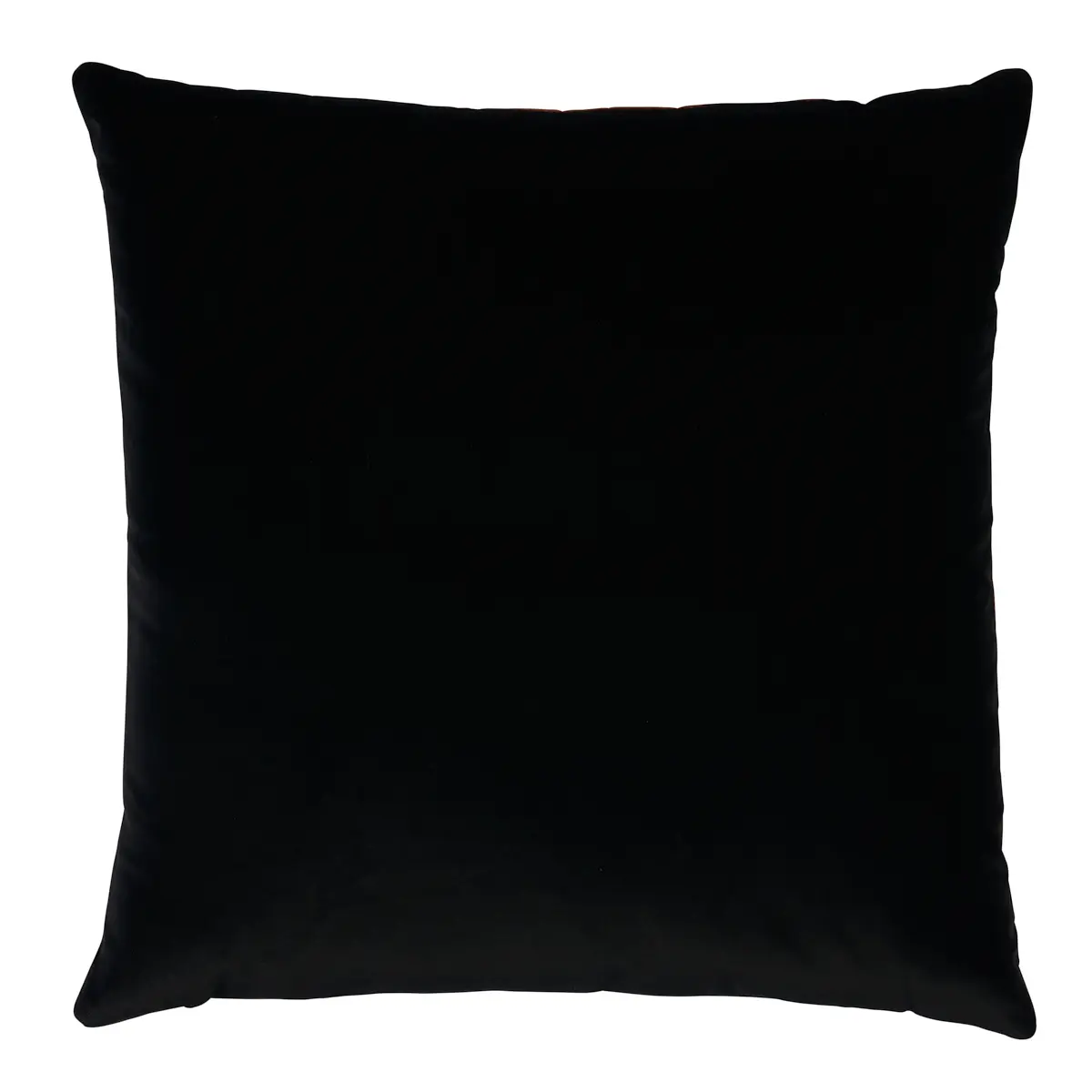 Sabi Tiger Velvet Pillow_ JAVA