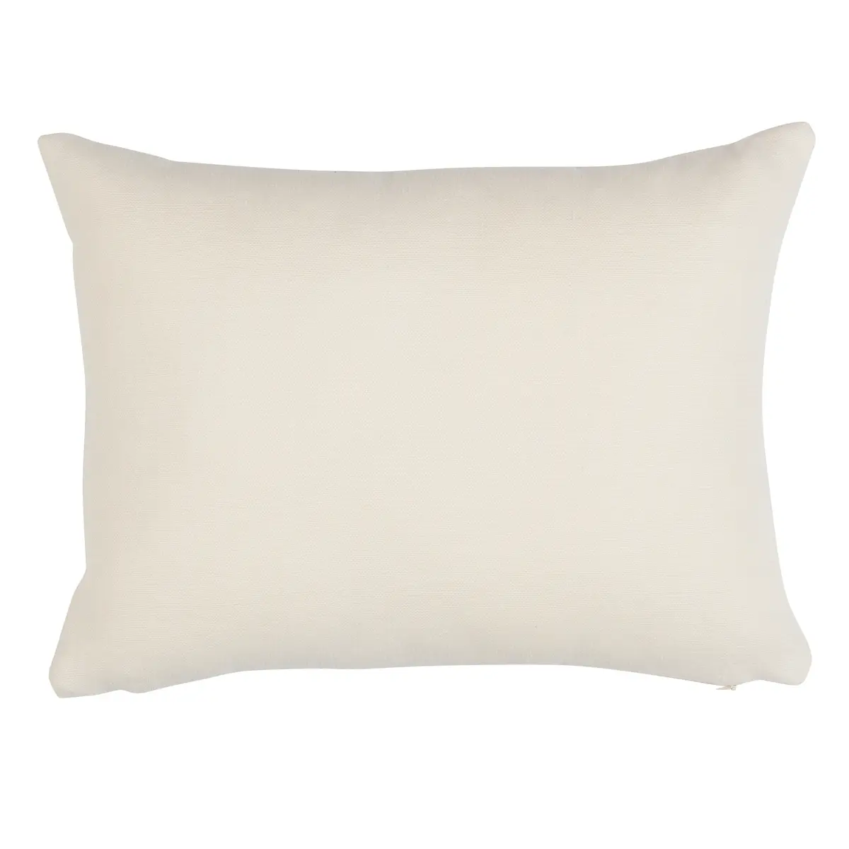Infinito I/O Pillow_ SAGE