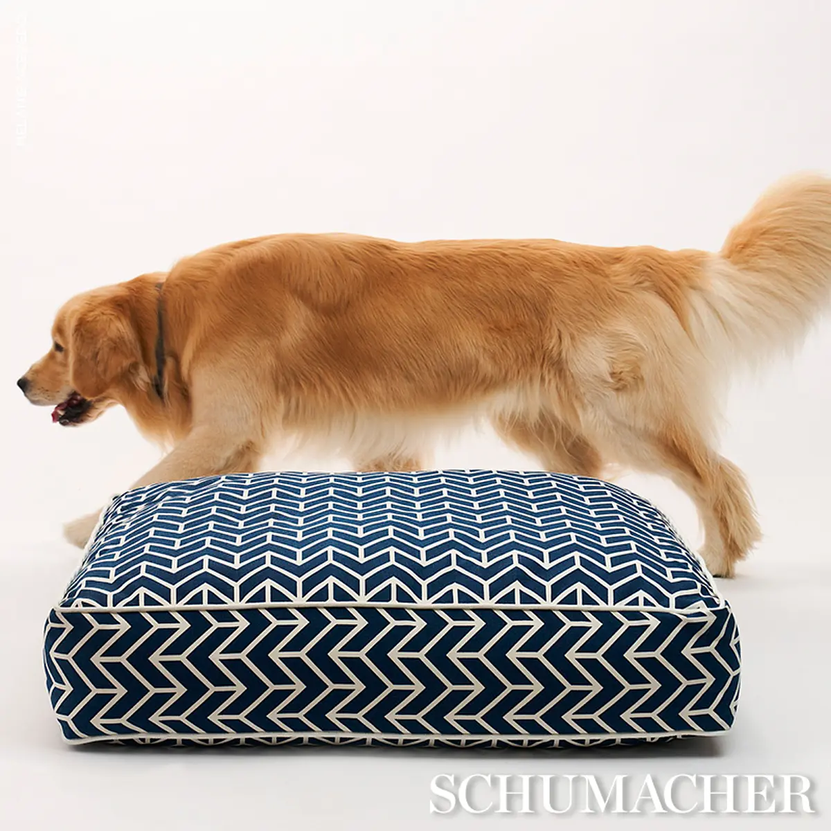 Chevron Dog Bed_ NAVY